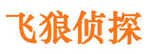 吉利调查公司